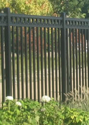 privacy fence ideas